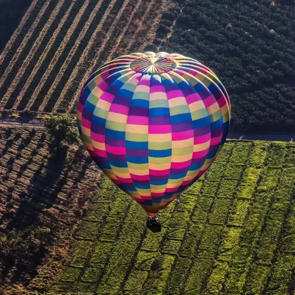 globo